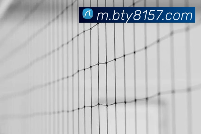 App Interface Preview